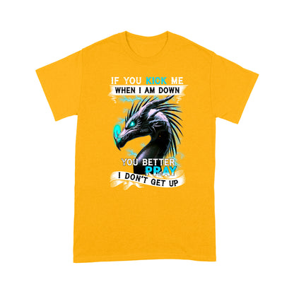 Dragon T-shirt If You Kick Me When I Am Down You'd Better Pray I Don't Get Up MEI