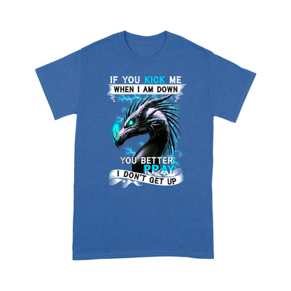 Dragon T-shirt If You Kick Me When I Am Down You'd Better Pray I Don't Get Up MEI