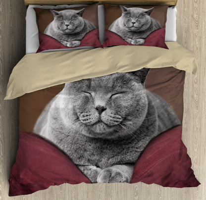American Short Hair Cat Bedding Set DQB07242006