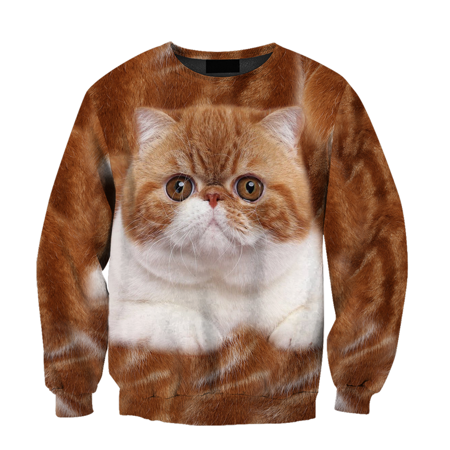 Exotic Shorthair Cat face hair premium hoodie sweatshirt cover
